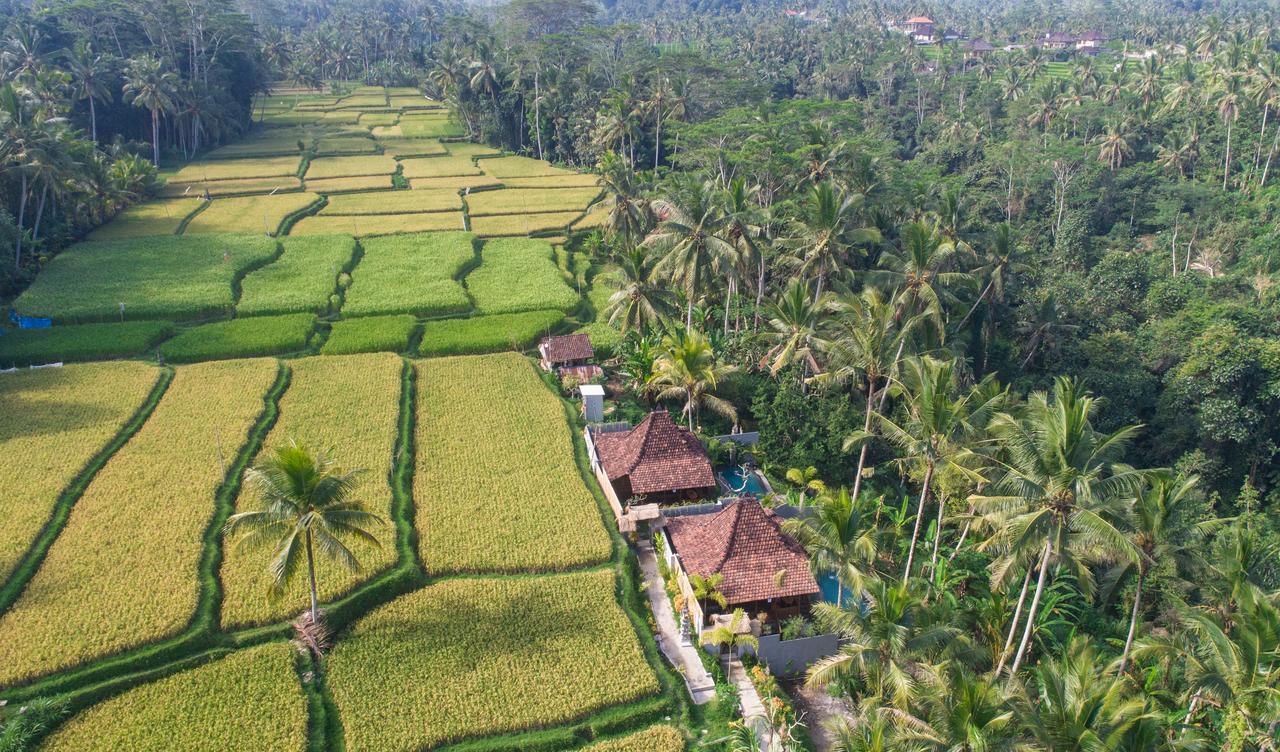 Mandana Ubud Villa Buitenkant foto
